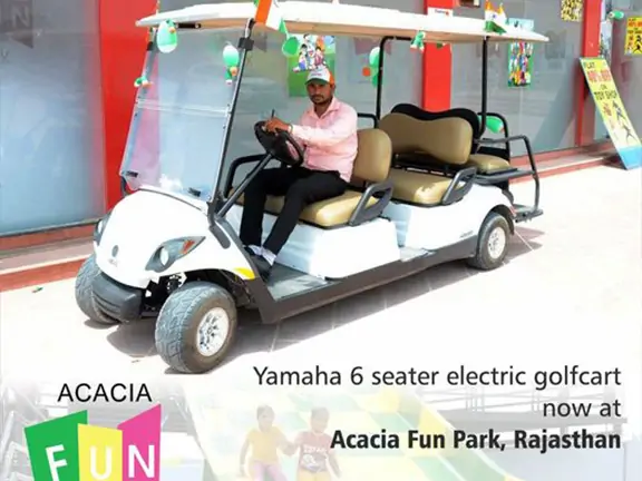 Electric Golf Cart at Amusement Park